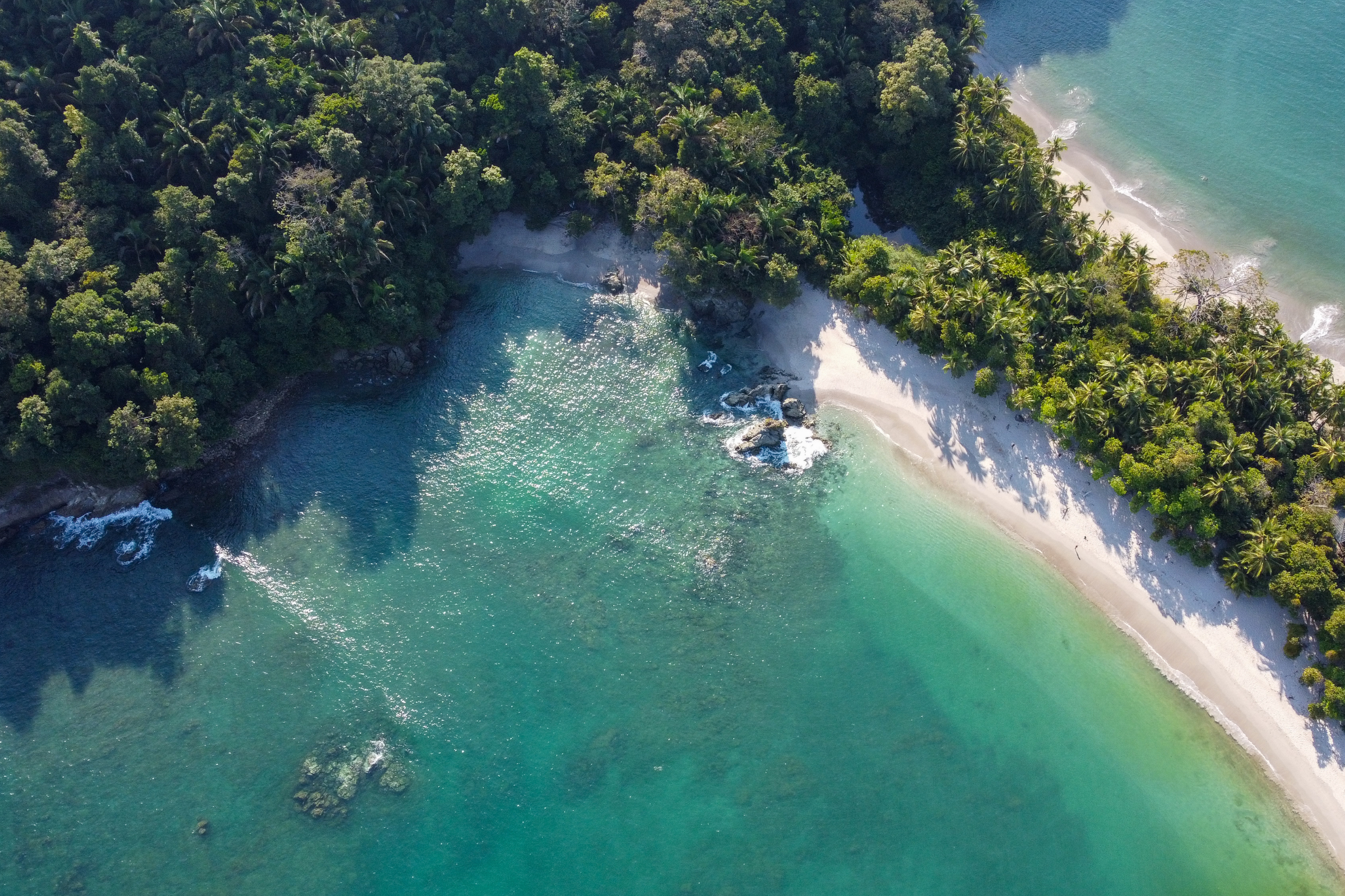 puerto jimenez, costa rica (2).webp